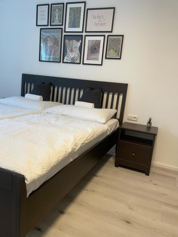 Xiapartment Höchst Екстериор снимка